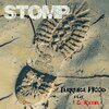 Terrence Wood、C Raine - Stomp (feat. C. Raine)(Explicit)