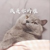 文灿 - 夏日调色盘 (电音版)