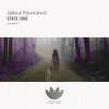 Jaksa Pavicevic - Monkey Mind