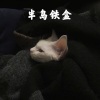 高高 - 暗里着迷 (DJ版)