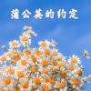 高高 - 人为情叹 (DJ版)