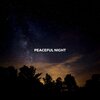 Sleeping Music、All Night Sleeping Songs to Help You Relax、Rain Sounds for Sleep、Zen Méditation Ambiance - In the Forest