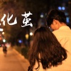 月岛木 - 化茧