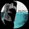 Peznt - What You Need (Original Mix)