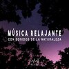 Música Para Dormir Rápido - Sueño Profundo, Pt. 01