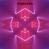 BigBudda - Meditation 245