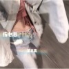 董志高 - 外文歌曲 (DJ版)