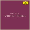 patricia petibon - II. Les gars qui vont à la fête
