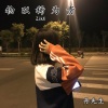 丹先生 - 重走来时路