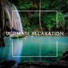 Meditation Guru、Sleeping Music、Zen Music Garden、Zen Méditation Ambiance、Yoga - It Will Pass