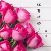 厌言 - 你要结婚了