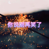 诵功 - 南北 (欢快版)