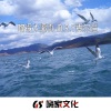 M.R.Y麦尔彦 - 吻得太逼真 (粤语DJ版)