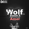 Sonick S、Rafapecky、Wolf ( BR ) - Amor (Original Mix)