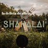 La Delicia de Alicia - Shahalai