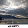 驴贱嚎 - 尔晴喝酒去？