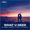 DJ Combo、Tony T、Sander-7、Dj Nicolas - What U Need (Radio Edit)