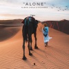 Dcoverz、Alban Chela - Alone