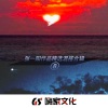 张一阳 - MELANCHOLY (DJ干声修改)