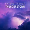 Thunderstorm Global Project from TraxLab - Nature Sounds: Thunderstorm, Pt. 01