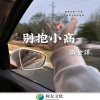 高金洋 - 永远都不要有那种奇奇怪怪的期待 (DJ版)