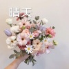 阿文 - 破茧 (电音版)