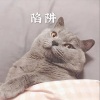 阿文 - 误红妆 (电音版)