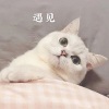 阿文 - 缘分一道桥 (电音版)