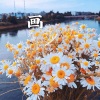 简单 - 好几年 (DJ版)