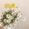 简单 - 浪子回头 (DJ版)