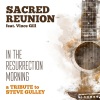 Vince Gill、Tim Stafford、Jason Moore、Mark Wheeler、Sacred Reunion、Barry Abernathy、Jim VanCleve、Doyle Lawson、Phil Leadbetter《In the Resurrection Morning (feat. Vince Gill Barry Abernathy Mark Wheeler Doyle Lawson Tim Stafford Phil Leadbetter Jim VanCleve & Jason Moore)》[MP3/LRC]