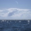 鱼酱、老徐、Forwe兰斯 - Faith
