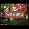 阿文 - 意料之外 (尊享版)
