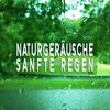 Regengeräusche Orchester von TraxLab - Naturgeräusche: Sanfte Regen, Pt. 01
