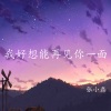 张小磊 - 我好想能再见你一面