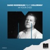 Dario Rodriguez、Colorway - In Your Eyes (feat. Colorway)
