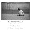 Orchestra Filarmonica Italiana、Clarissa Bevilacqua、Federico Longo - LA VIA DEL CORALLO