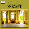 Consort of London、Wolfgang Amadeus Mozart、Robert Haydon Clark - I. Allegro
