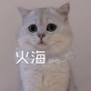 阿文 - 简单爱 (经典版)