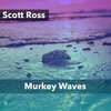 scott ross - Murkey Waves (60 DnB)