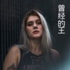 官云康、DJ毅曦 - 皇朝中我指鹿为马 (DJ版)