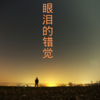 小可、芷晗 - 问 (DJ版)