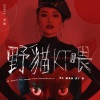 爱戴 - 野猫KT喂