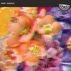 MWX - Andale (OriginalMix)