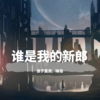 浪子莫测、琳浩 - 南街北巷 (DJ版)