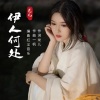 龙儿 - 伊人何处 (Remix)