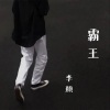 张琦、李颜 - 霸王