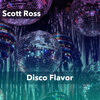 scott ross - Disco Flavor (60 Bass Drums and Percussion)