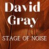 David Gray - Keverchief