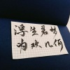 盐酸 - 撒野 (原唱:欸-61)